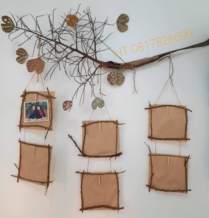 19 Eco-Friendly Classroom Decor Ideas You Can’t Miss (Especially #10!) - 1. Nature-Inspired Photo Display