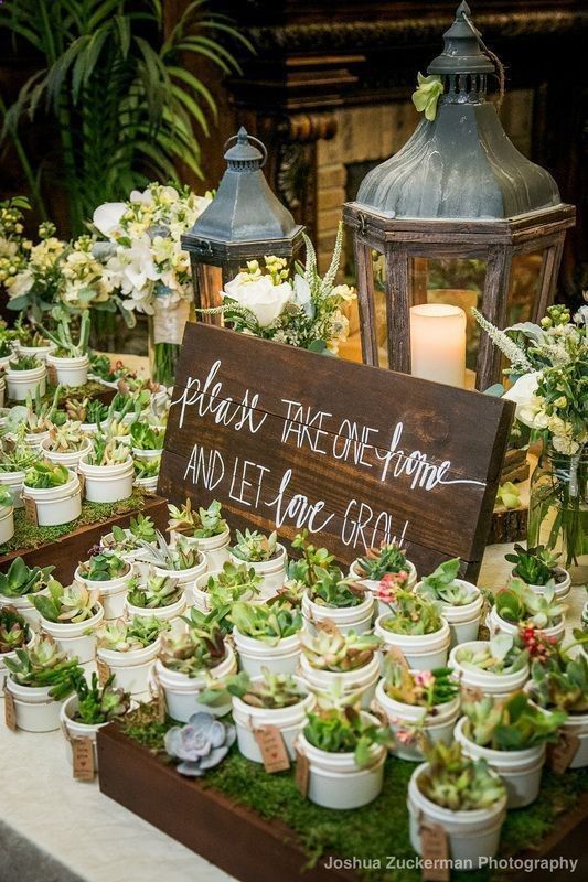 20 Breathtaking Natural Wedding Decoration Ideas That Will Leave You Speechless! - Charming Succulent Favors