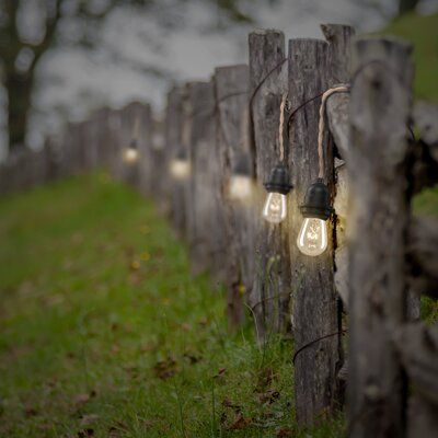 22 Stunning Nature Decor Ideas for Your Outdoor Space (You'll Love #13!) - Enchanting String Lights