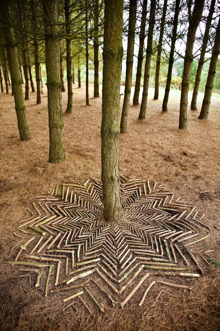 22 Stunning Nature Decor Ideas for Your Outdoor Space (You'll Love #13!) - Intricate Stick Mandala