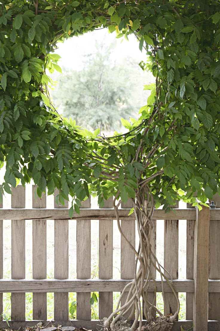 22 Stunning Nature Decor Ideas for Your Outdoor Space (You'll Love #13!) - Rustic Garden Orbs